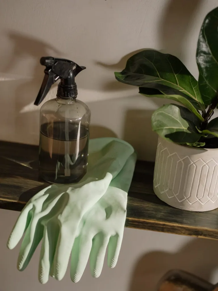 Spray bottle and green rubber gloves on a shelf beside a plant